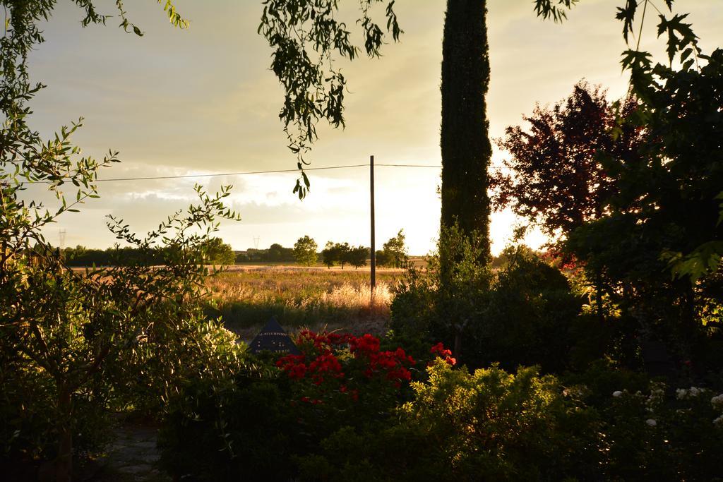 Agriturismo Dolce Verde Castiglione del Lago Bagian luar foto