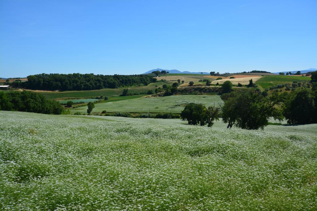 Agriturismo Dolce Verde Castiglione del Lago Bagian luar foto