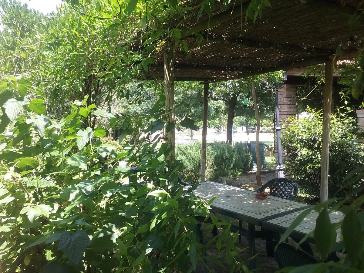 Agriturismo Dolce Verde Castiglione del Lago Bagian luar foto