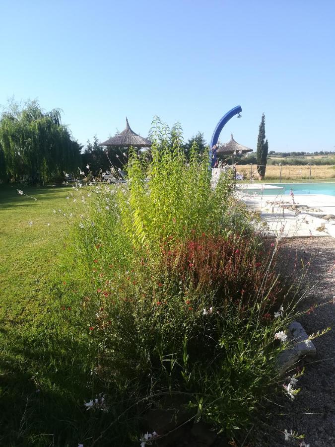 Agriturismo Dolce Verde Castiglione del Lago Bagian luar foto